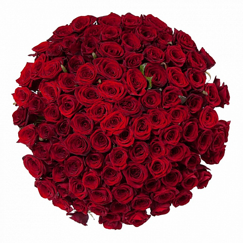 Букет 101 красная роза (60 см)