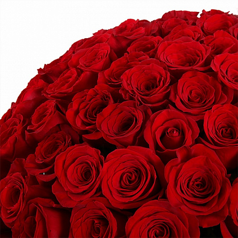 Букет 101 красная роза (60 см)